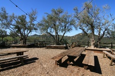 Enlarge photo 23