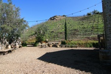 Enlarge photo 25