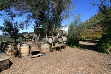 Enlarge photo 26