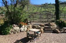 Enlarge photo 27