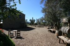 Enlarge photo 28