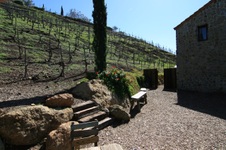 Enlarge photo 29