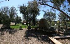 Enlarge photo 33