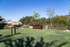 Enlarge photo 115