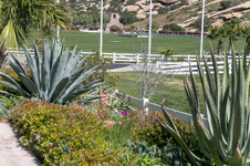 Enlarge photo 155
