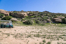 Enlarge photo 164