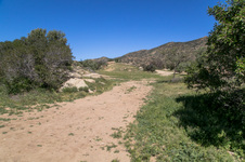 Enlarge photo 170
