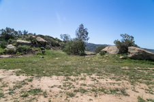 Enlarge photo 178