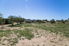 Enlarge photo 181