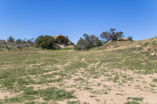 Enlarge photo 183