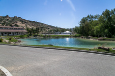 Enlarge photo 238