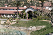 Enlarge photo 256