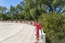 Enlarge photo 261