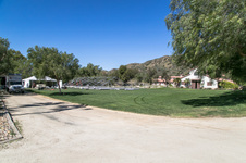 Enlarge photo 264