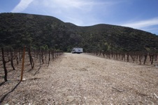 Enlarge photo 8