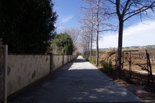 Enlarge photo 20