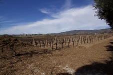 Enlarge photo 21