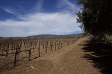 Enlarge photo 22