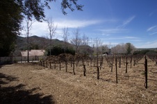 Enlarge photo 26