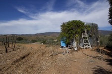 Enlarge photo 27