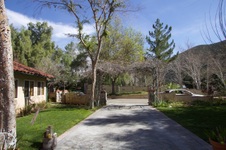 Enlarge photo 37