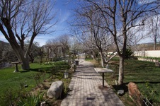 Enlarge photo 45