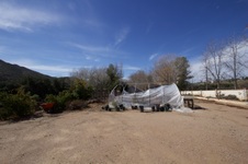 Enlarge photo 49