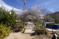 Enlarge photo 51