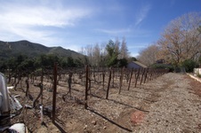 Enlarge photo 52