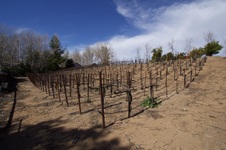 Enlarge photo 63