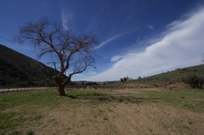 Enlarge photo 71