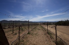 Enlarge photo 4