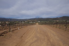 Enlarge photo 12