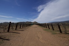 Enlarge photo 14
