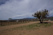 Enlarge photo 19