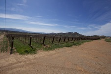 Enlarge photo 29