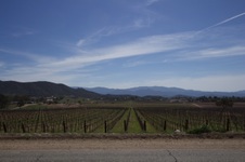 Enlarge photo 30