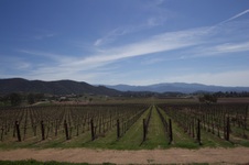 Enlarge photo 33