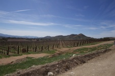 Enlarge photo 34