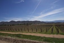 Enlarge photo 35
