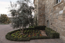 Enlarge photo 18