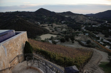 Enlarge photo 49