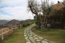 Enlarge photo 34