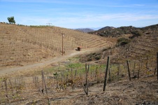 Enlarge photo 7