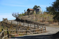 Enlarge photo 12