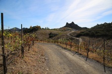 Enlarge photo 13