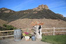 Enlarge photo 20