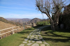 Enlarge photo 24