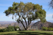 Enlarge photo 30