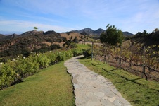 Enlarge photo 35